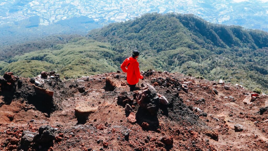 Travel jakarta Pemalang