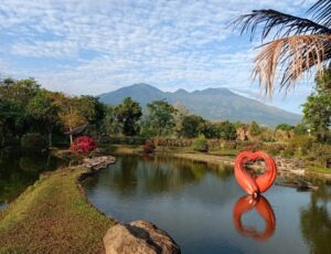 Travel Jakarta Pasuruan