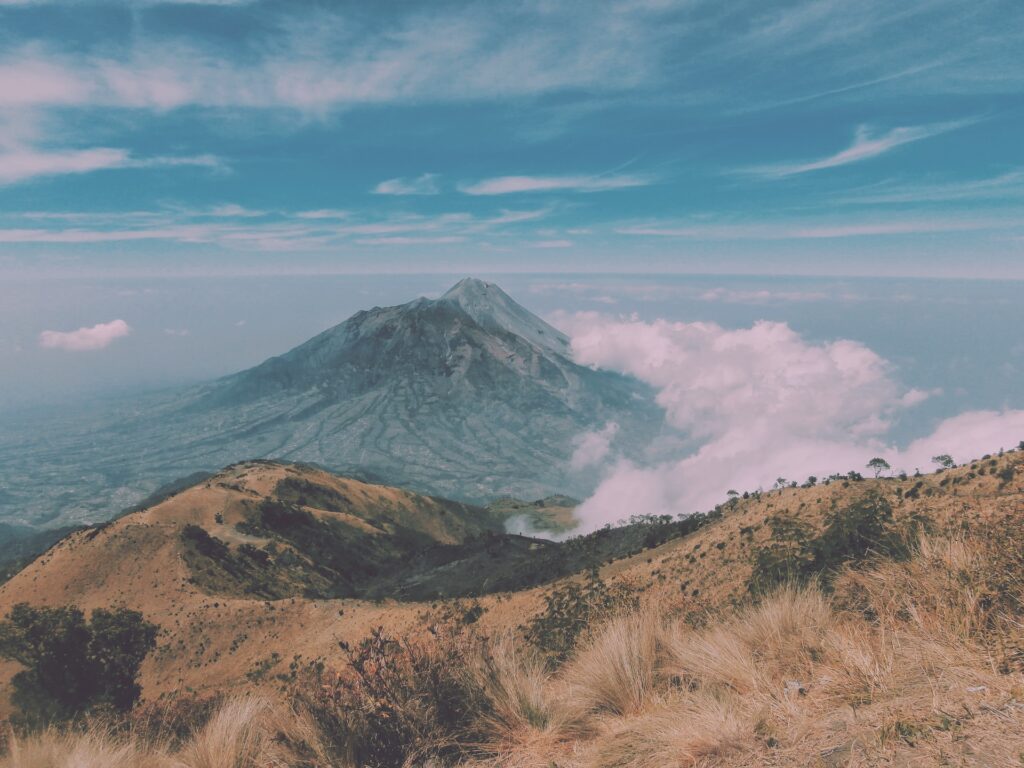 Info Harga Travel Jakarta Balapulang