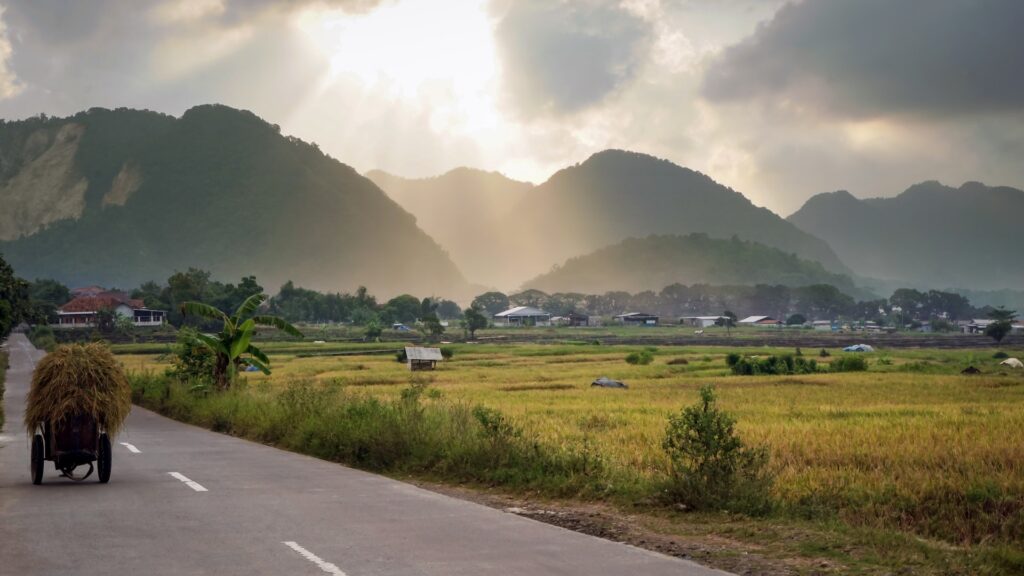 Info Harga Travel Jakarta Darmaraja (Sumedang)
