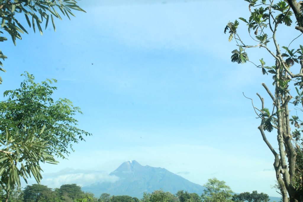 Info Harga Travel Jakarta Tulung (Klaten)